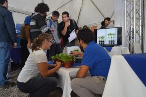 Transferencia bioproductos en 5º Encuentro Hortícola: Presentan nuevas formas de fertilizar hortalizas a cerca de 250 agricultores de la región Transferencia bioproductos en 5º Encuentro Hortícola: Presentan nuevas formas de fertilizar hortalizas a cerca de 250 agricultores de la región