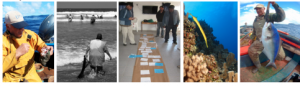 Curso Postgrado internacional en la UCN: Analizarán rol de la comunidad y de tomadores de decisión en el manejo y conservación de ambientes marinos Curso Postgrado internacional en la UCN: Analizarán rol de la comunidad y de tomadores de decisión en el manejo y conservación de ambientes marinos