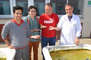 2º Lugar en 46ª Feria Científica Nacional Juvenil: Alumnos del colegio Andrés Bello trabajan con CEAZA en proyecto sobre acidificación oceánica