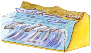 Climatología y fisiología de organismos marinos: CEAZA se adjudica dos proyectos FONDECYT regular Climatología y fisiología de organismos marinos: CEAZA se adjudica dos proyectos FONDECYT regular