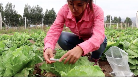 Sociedad Agrícola del Norte y CEAZA colaborarán en capacitación de educadores y alumnos de Escuela Agrícola del Valle de Elqui