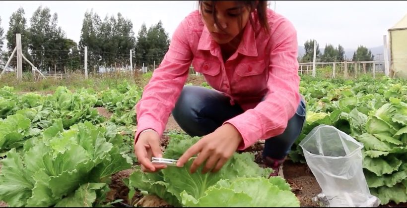 Sociedad Agrícola del Norte y CEAZA colaborarán en capacitación de educadores y alumnos de Escuela Agrícola del Valle de Elqui