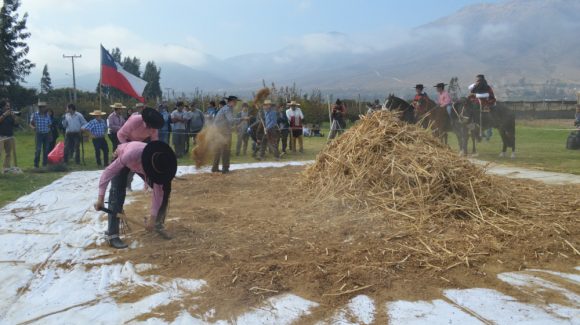 En jornada dedicada al grano ancestral: CEAZA presenta aporte a la educación, ventajas y bondades del cultivo de la quinoa en el Valle de Elqui