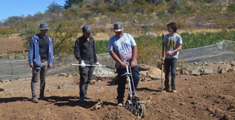 Capacitados por CEAZA en Hurtado: Estudiantes potencian habilidades en siembra de quinoa Capacitados por CEAZA en Hurtado: Estudiantes potencian habilidades en siembra de quinoa