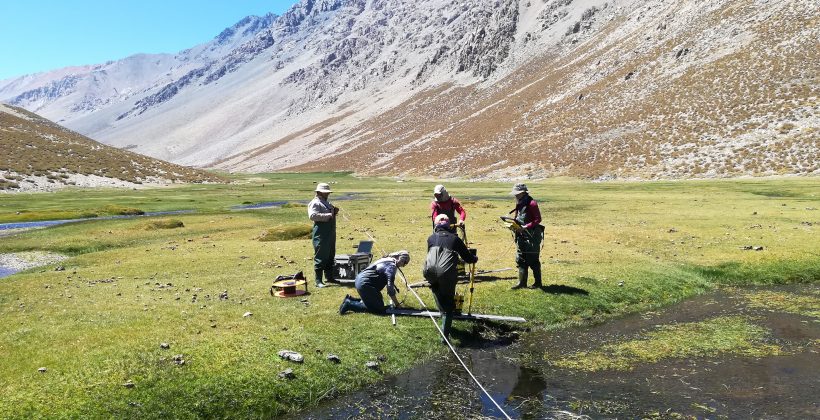 Aporte a la formación de capital humano: Estudiantes perfeccionan sus conocimientos durante el verano 2019 en CEAZA Aporte a la formación de capital humano: Estudiantes perfeccionan sus conocimientos durante el verano 2019 en CEAZA