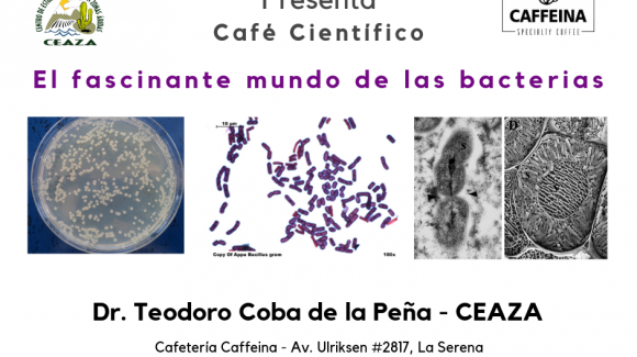 En café científico:  Relevarán los beneficios de las bacterias para la vida del planeta