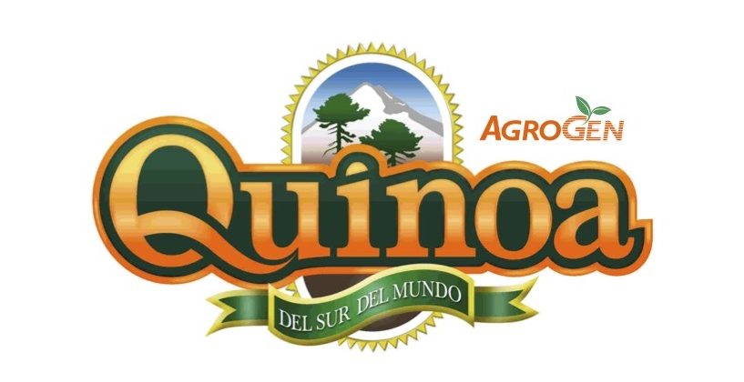 Recetas de quinoa