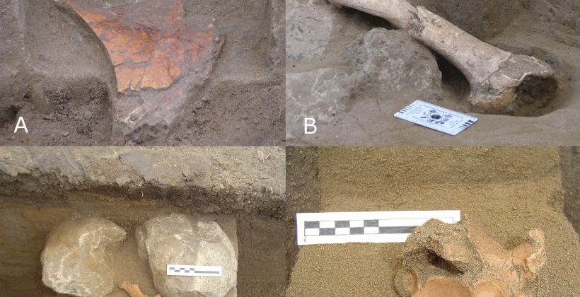 Cambios ambientales habrían aportado a extinción de megafauna en Los Vilos Cambios ambientales habrían aportado a extinción de megafauna en Los Vilos