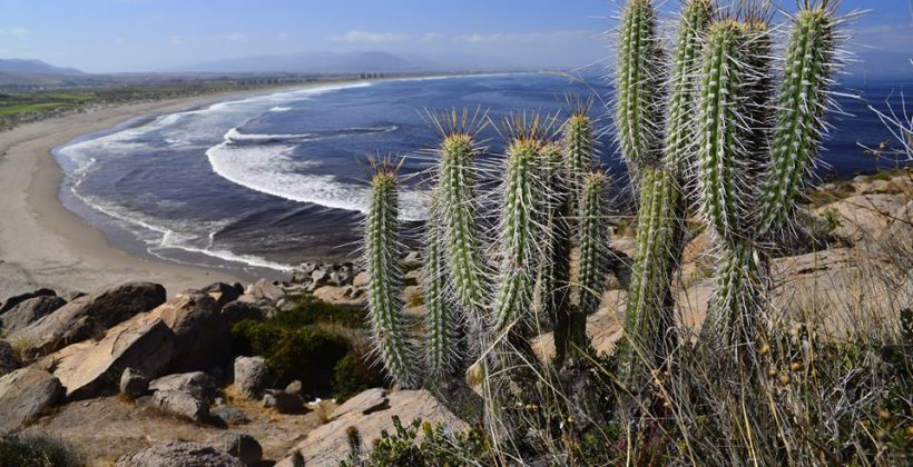La Región de Coquimbo sigue experimentando déficit de precipitaciones La Región de Coquimbo sigue experimentando déficit de precipitaciones