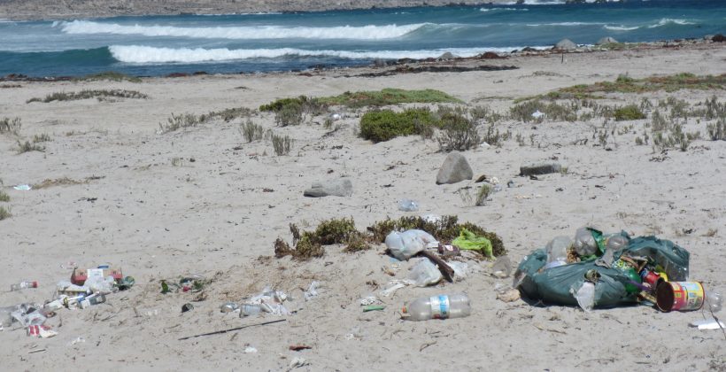 Plantean necesidad de cambios sociales para combatir contaminación por plásticos Plantean necesidad de cambios sociales para combatir contaminación por plásticos