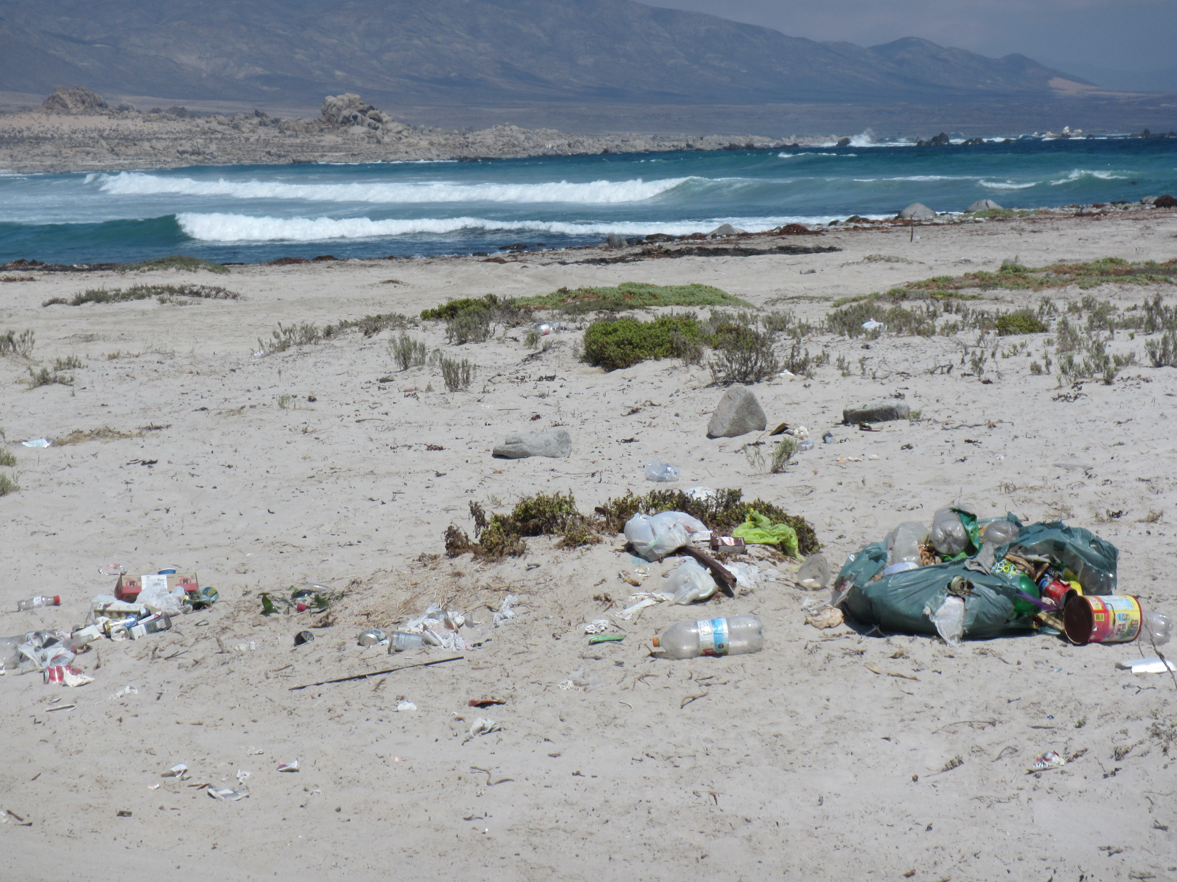 Plantean necesidad de cambios sociales para combatir contaminación por  plásticos - Ceaza