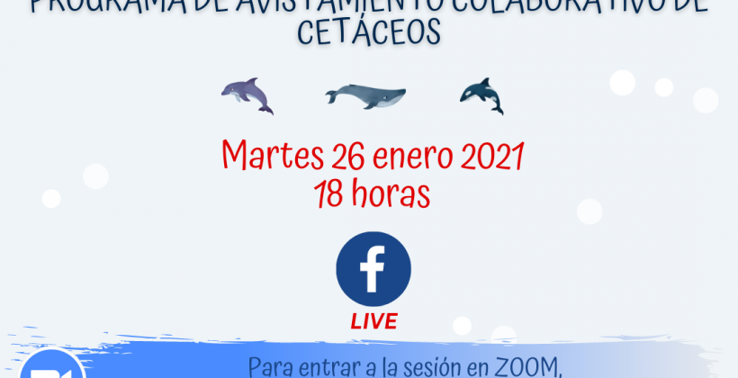 Potencian cuidado y conocimiento del entorno natural marino para toma de decisión local Potencian cuidado y conocimiento del entorno natural marino para toma de decisión local