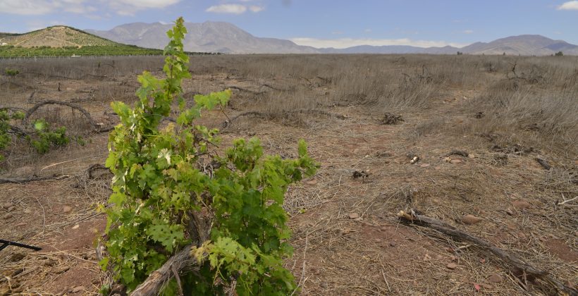 Sexto Informe de Evaluación del IPCC: Relevan consecuencias del Cambio Climático y la necesidad de medidas de adaptación en la Región de Coquimbo