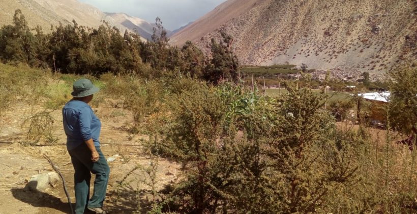 CEAZA contribuye a la toma de decisión hídrica de la comuna de Paihuano CEAZA contribuye a la toma de decisión hídrica de la comuna de Paihuano