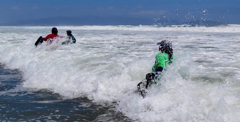 Según estudio de Área de Manejo y Explotación de Recursos Bentónicos: Características de “bahía Coquimbo” y participación femenina en gobernanza aportarían a la persistencia de pesquería de macha en Caleta San Pedro, La Serena