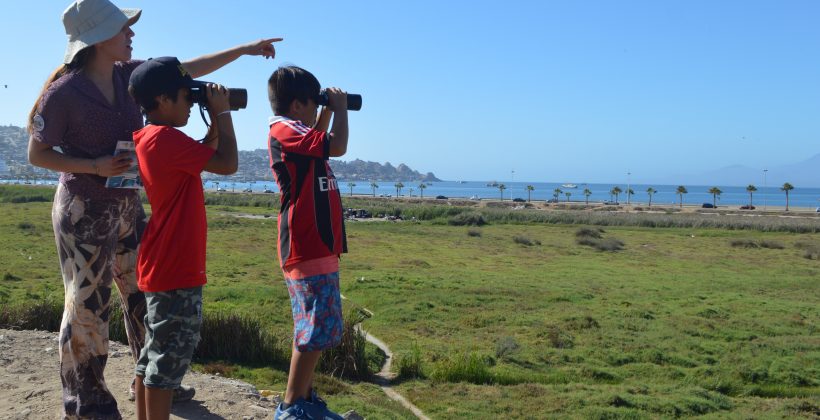 Ciencia para niños: Nuevo cuento infantil promete crear conciencia sobre el rol de los humedales de la Región de Coquimbo Ciencia para niños: Nuevo cuento infantil promete crear conciencia sobre el rol de los humedales de la Región de Coquimbo