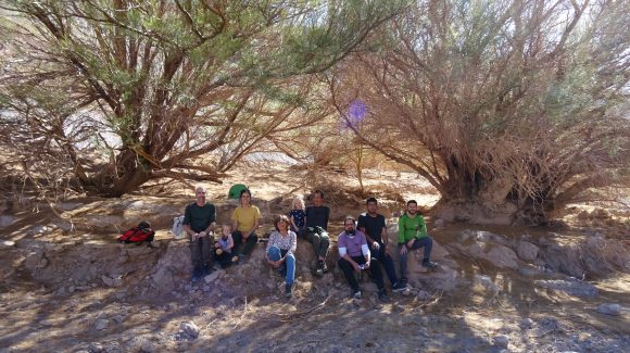 Microorganismos del algarrobo podrían ayudar a mejorar el crecimiento de otras plantas en zonas áridas Microorganismos del algarrobo podrían ayudar a mejorar el crecimiento de otras plantas en zonas áridas
