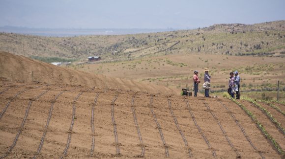 Con miras a futuras medidas regionales de adaptación: Proyecto Adaptaclim identificó principales riesgos del cambio climático en el suelo y agua en la región Con miras a futuras medidas regionales de adaptación: Proyecto Adaptaclim identificó principales riesgos del cambio climático en el suelo y agua en la región