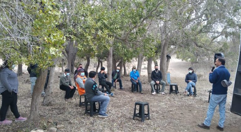 Investigación de CEAZA identificó las plantas que aprovechan de mejor forma el agua de niebla en Canela Investigación de CEAZA identificó las plantas que aprovechan de mejor forma el agua de niebla en Canela