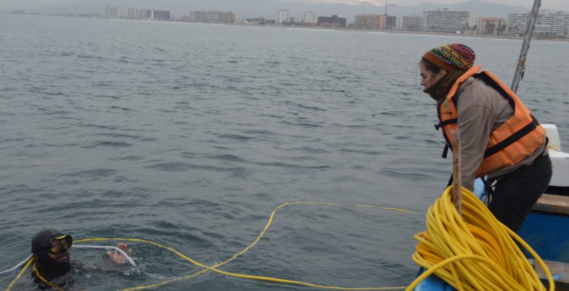 Centro Científico CEAZA y buzos mariscadores monitorean en conjunto las condiciones de la bahía de Coquimbo Centro Científico CEAZA y buzos mariscadores monitorean en conjunto las condiciones de la bahía de Coquimbo