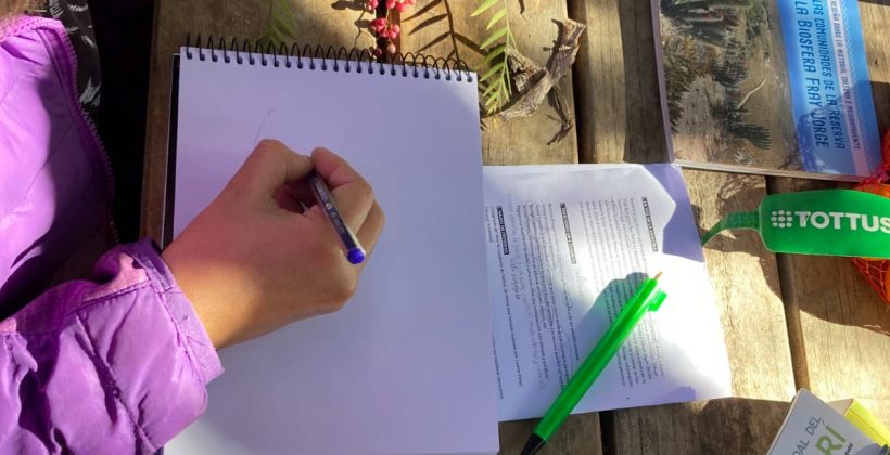 Taller combinó la ciencia y el arte para enseñar a apreciar y registrar la biodiversidad del Limarí Taller combinó la ciencia y el arte para enseñar a apreciar y registrar la biodiversidad del Limarí