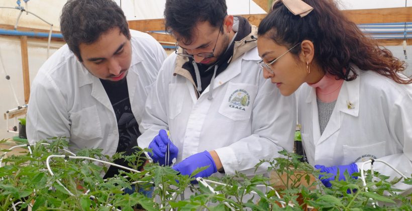 Proponen soluciones basadas en la ciencia para contribuir a una agricultura sustentable Proponen soluciones basadas en la ciencia para contribuir a una agricultura sustentable