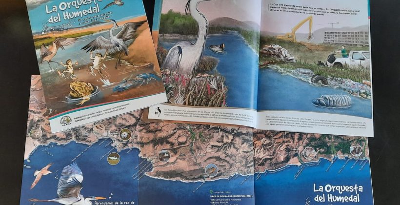 “La orquesta del humedal”: Cuento educativo muestra la importancia de los humedales costeros de la región de Coquimbo “La orquesta del humedal”: Cuento educativo muestra la importancia de los humedales costeros de la región de Coquimbo
