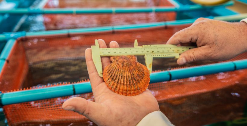 Acuicultores de Ecuador y Perú conocieron el trabajo conjunto de ciencia e industria en Chile para afrontar el cambio climático Acuicultores de Ecuador y Perú conocieron el trabajo conjunto de ciencia e industria en Chile para afrontar el cambio climático