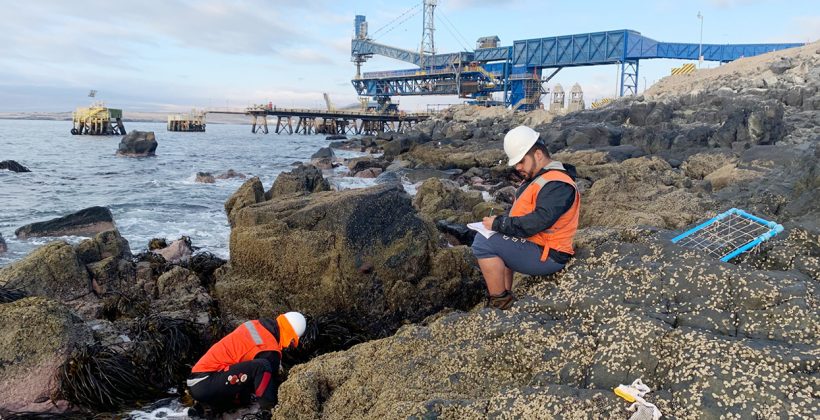 Destacan oportunidades del Código Internacional para la Protección de Buques e Instalaciones Portuarias para la investigación científica en el borde costero