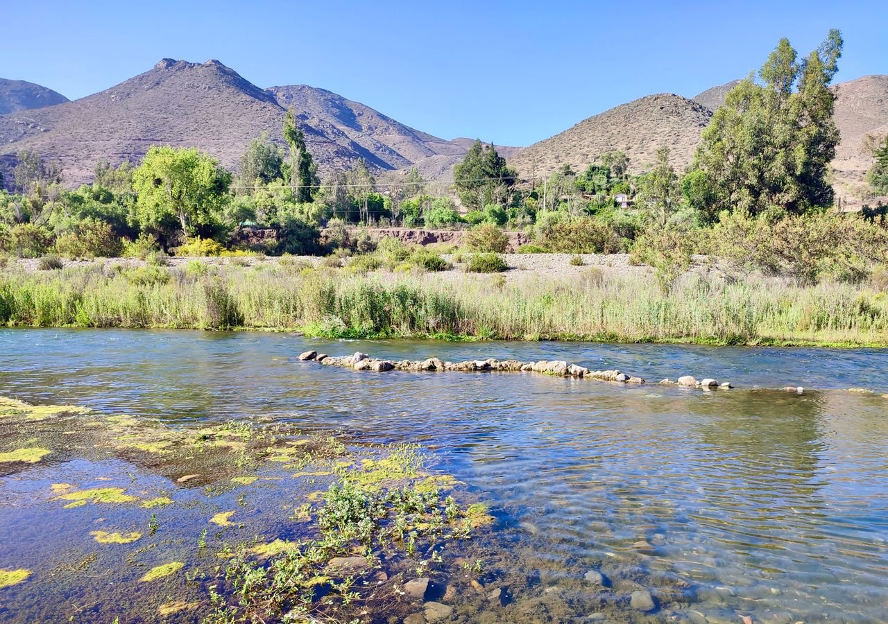 Investigan cómo el cambio climático reduce la diversidad microbiana en la cuenca del río Elqui