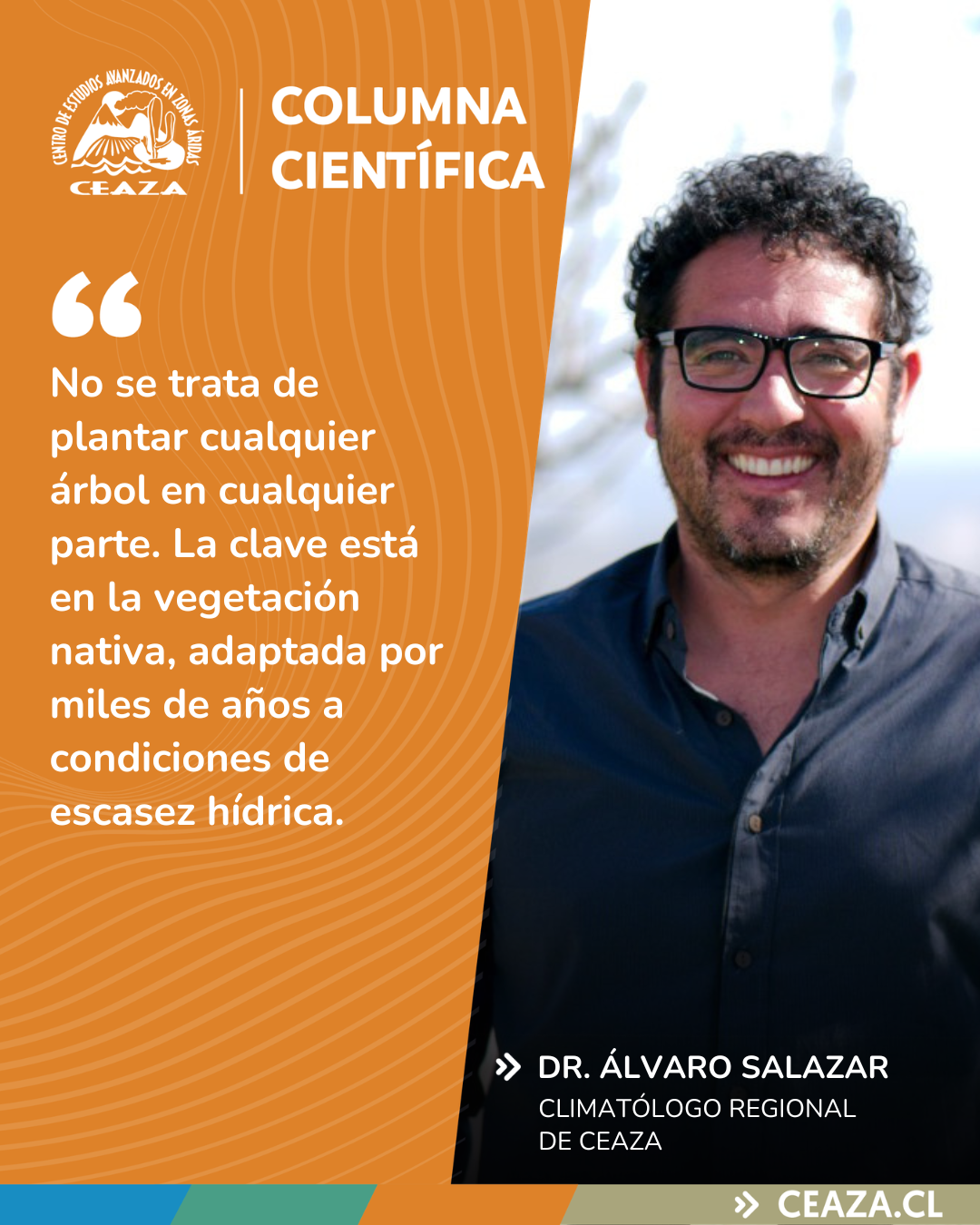 Columna científica – Áreas verdes: la infraestructura invisible que enfría nuestras ciudades