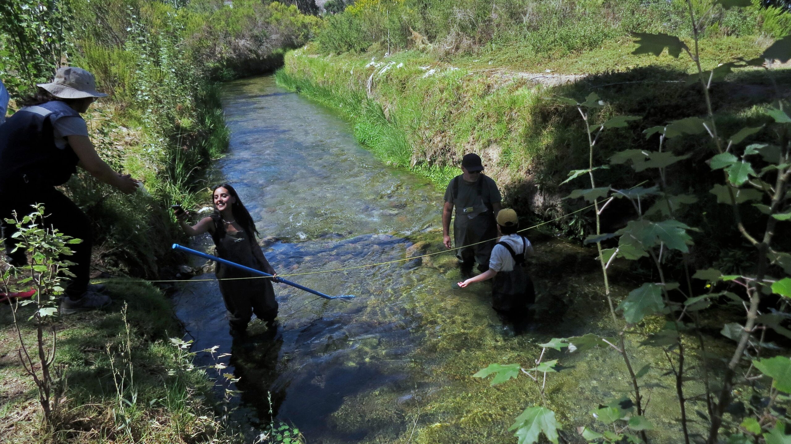 Sin el canal Bellavista, el humedal El Culebrón de la Región de Coquimbo podría desaparecer