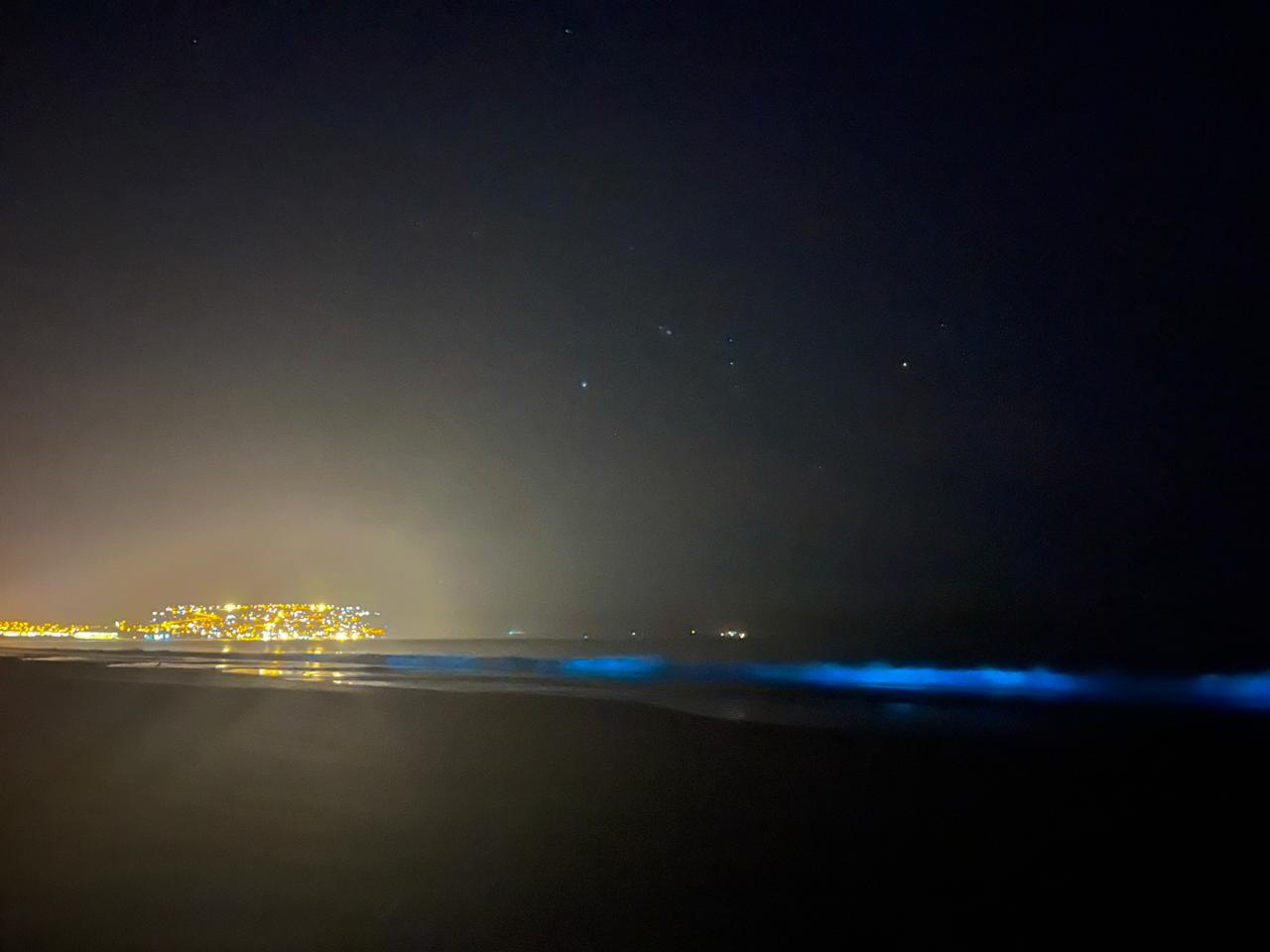 La costa de Guanaqueros sorprende con fenómeno natural de bioluminiscencia