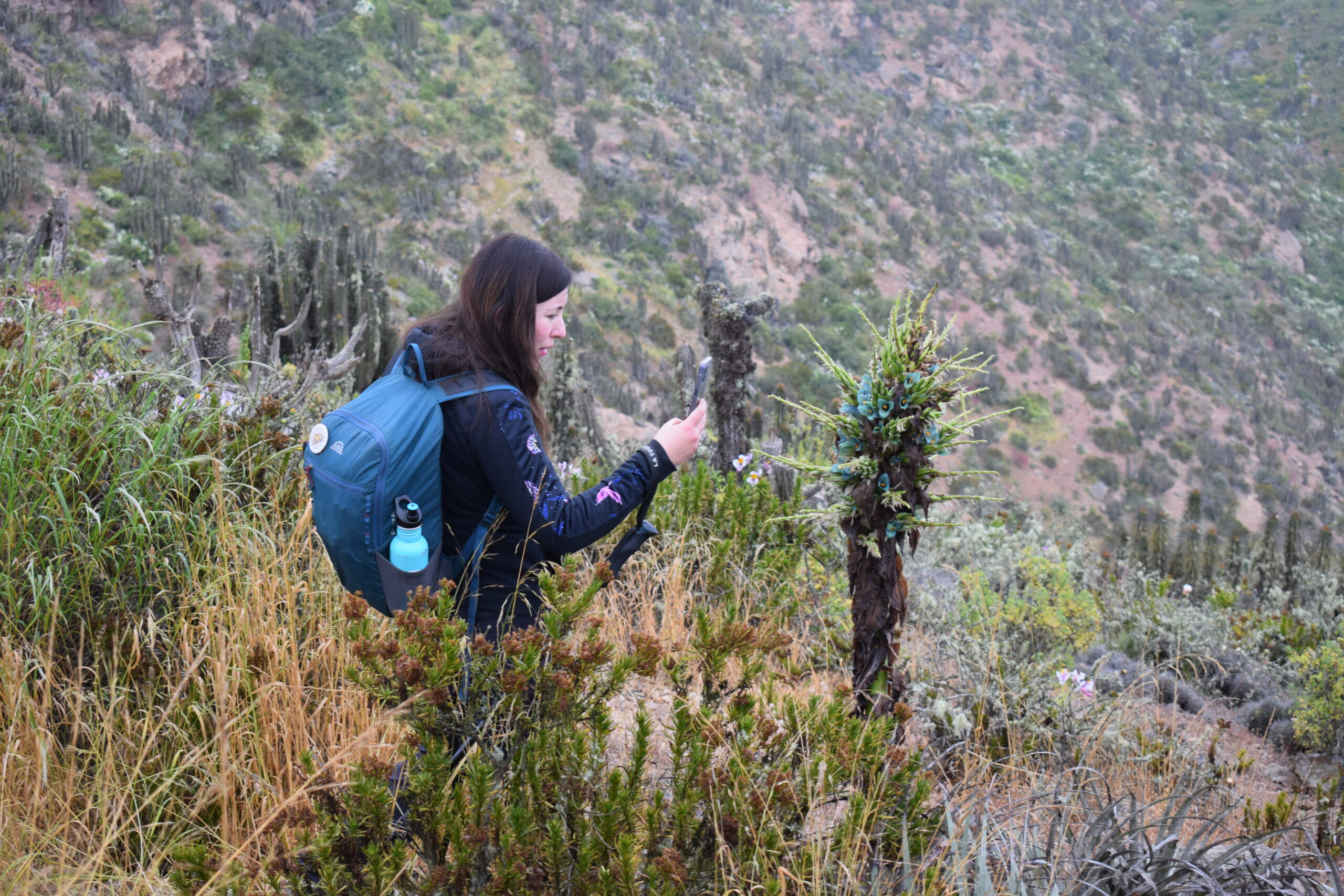Invitan a disfrutar con actividades educativas este fin de semana en el cerro Grande