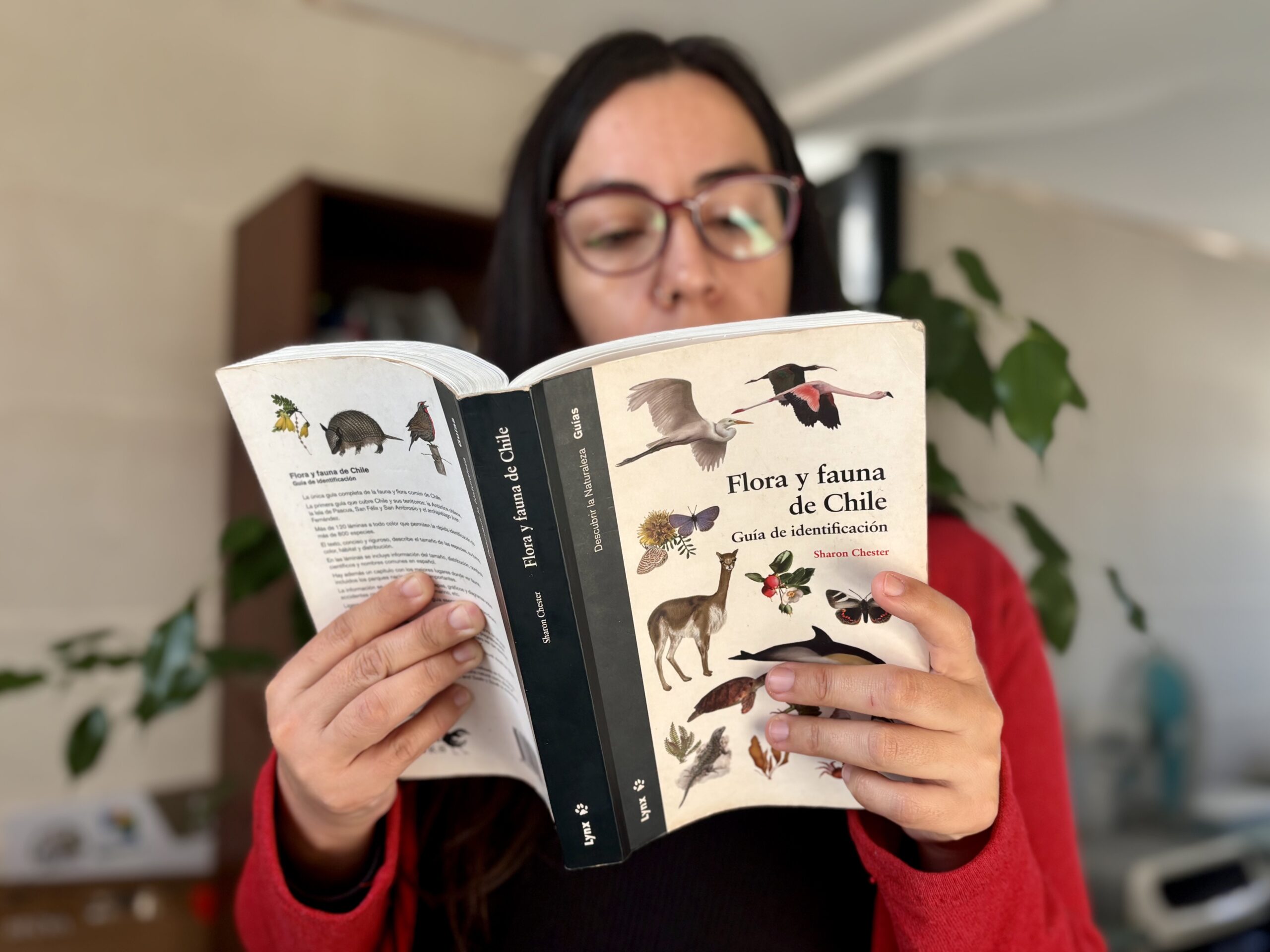 En el mes del libro: “Caja viajera” llega a Cerro Grande con títulos sobre sustentabilidad