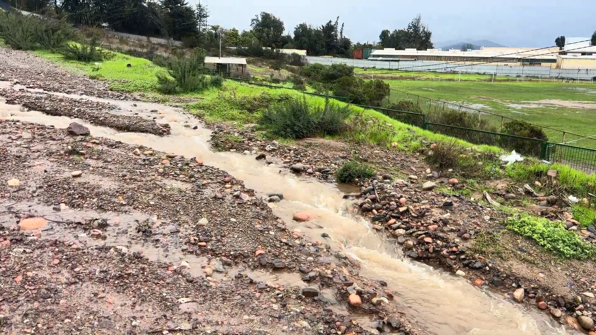 Actualización: Se esperan precipitaciones entre el 13 y 19 de agosto en Coquimbo y Atacama