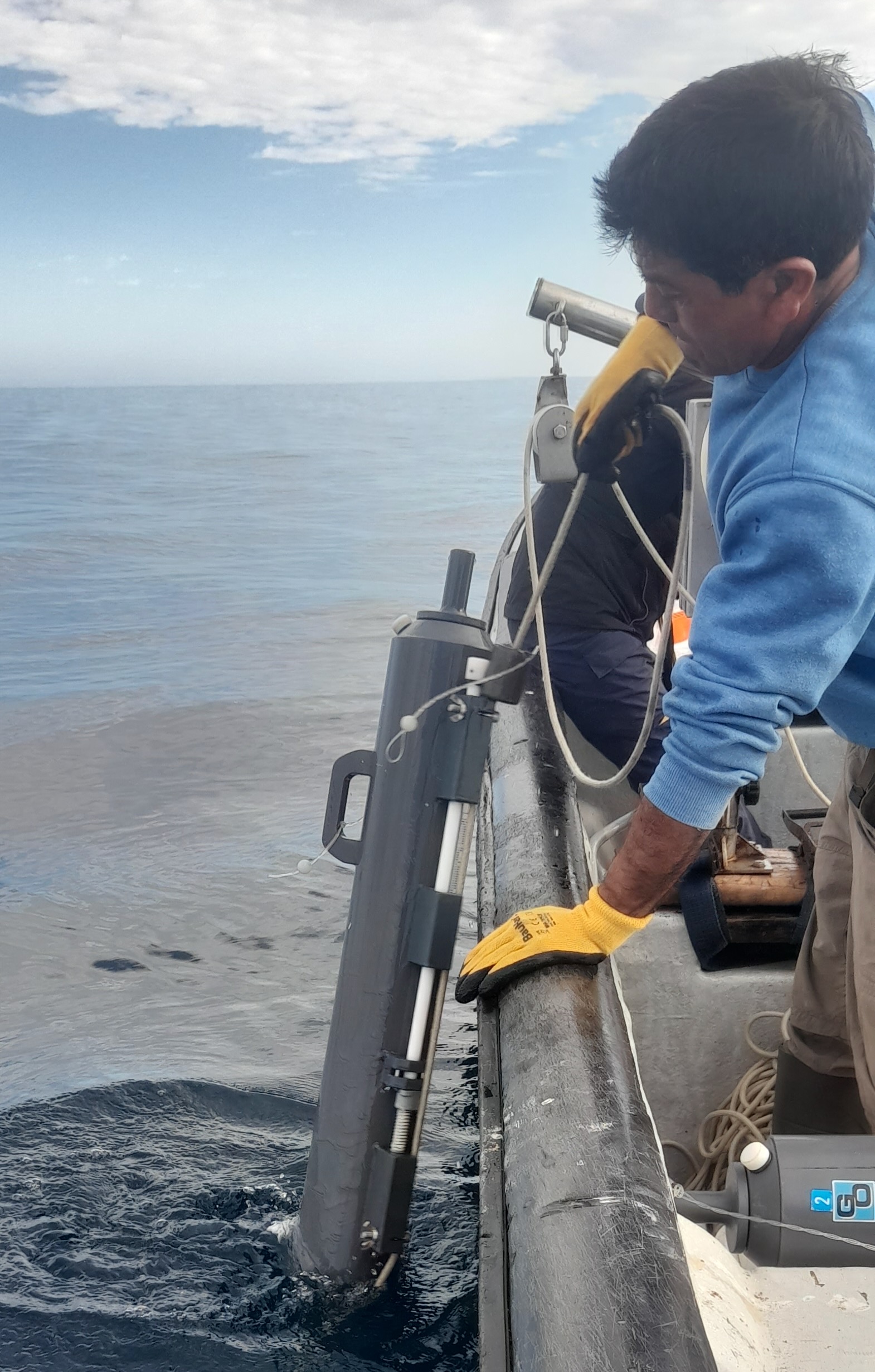 Serie de tiempo impulsada por CEAZA permite revelar cómo el clima y la surgencia regulan la productividad del Archipiélago de Humboldt