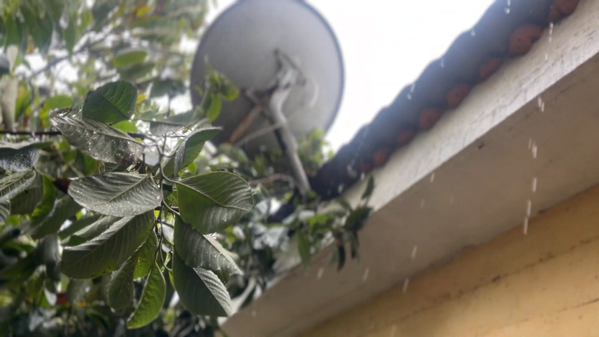 Zona cordillerana de la Región de Coquimbo espera precipitaciones entre este jueves y domingo