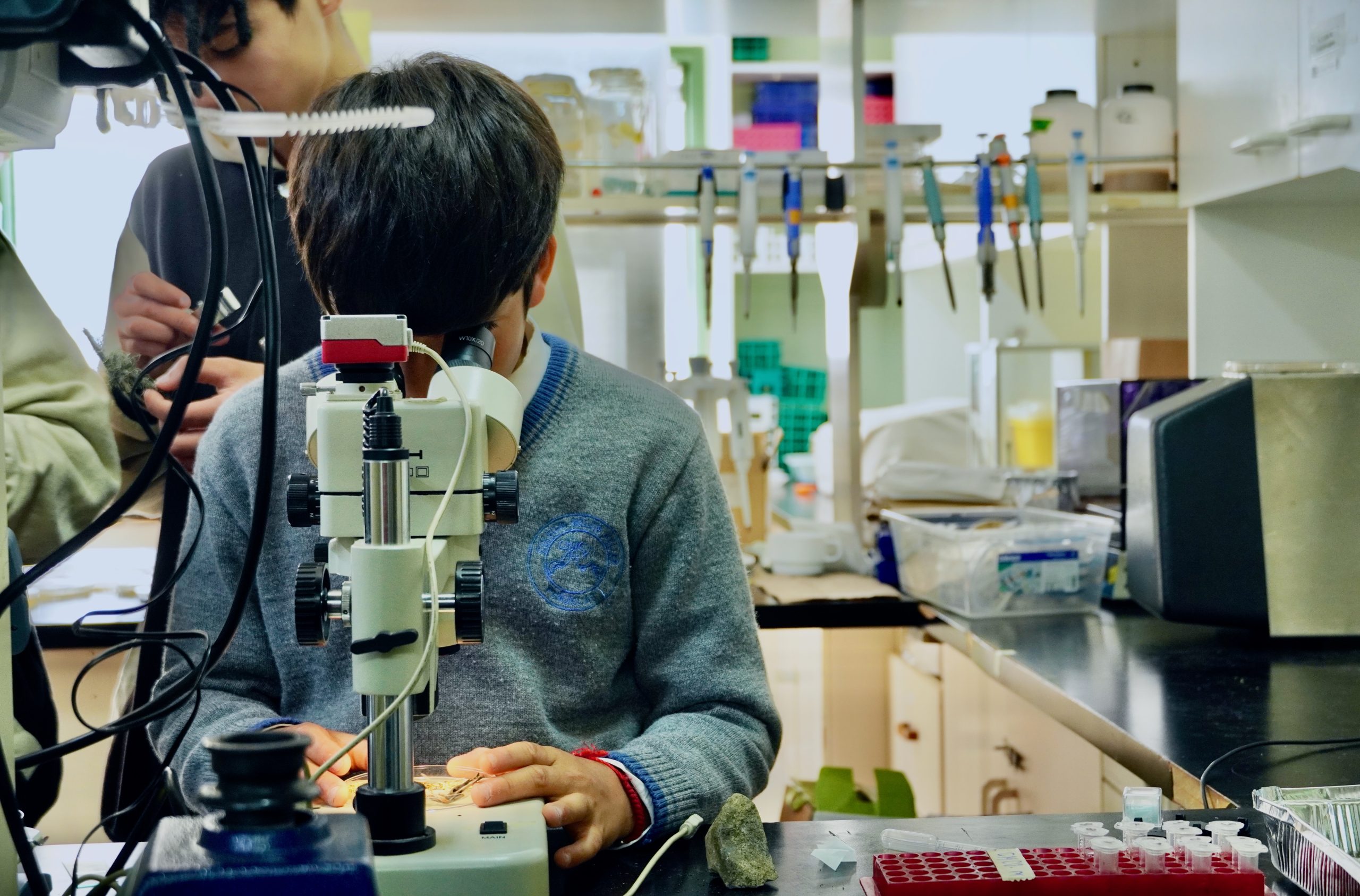 El Centro Científico CEAZA participará en el Festival de la Ciencia y Tecnología este 8 de octubre