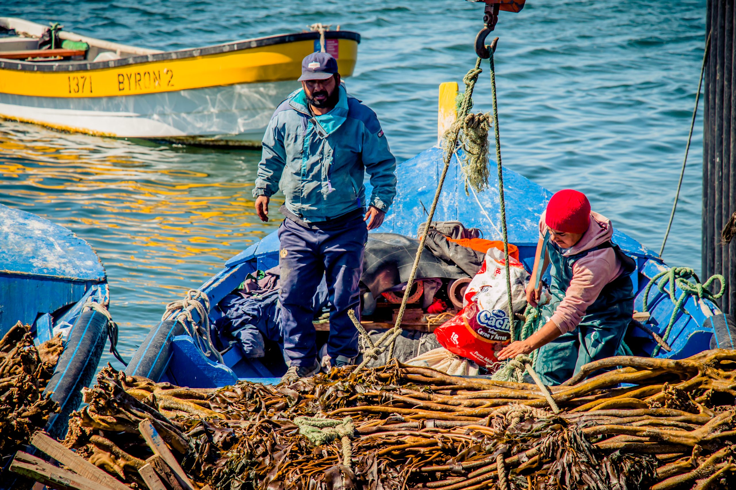 CEAZA se suma a proyecto europeo para estudiar los efectos de la variabilidad ambiental en Tongoy : Información es vital para pesca y acuicultura local